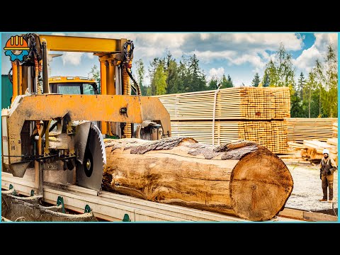 75 Incredible EXTREME Fastest Big Wood Sawmill Machines Working