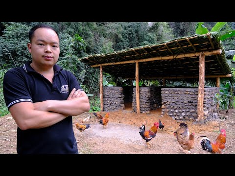 PRIMITIVE SKILLS; Duong continue to raise pigs - Build a pig barn out of stone
