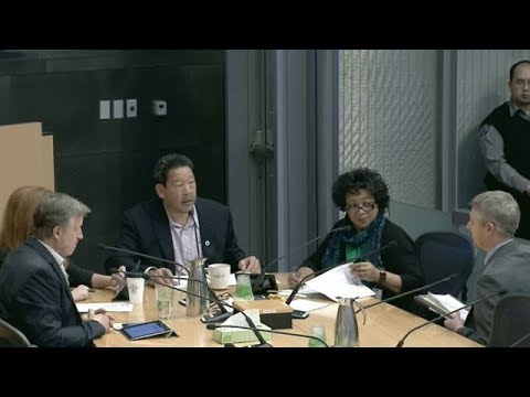 Seattle City Council Governance, Equity, and Technology Committee 12/18/18
