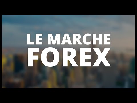 03 - Le Forex | Formation Débutant Trading 2017