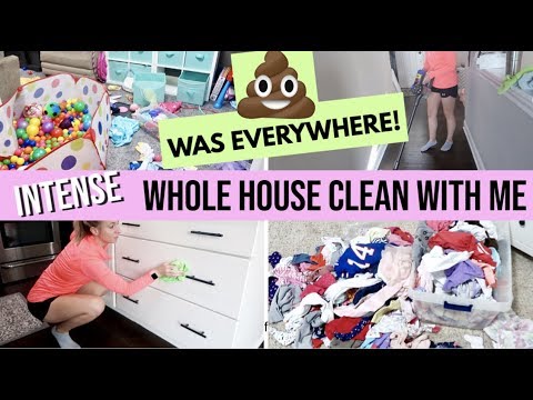2 DAY INTENSE WHOLE HOUSE CLEAN WITH ME 2019 | WHOLE HOUSE CLEANING MOTIVATION | WAS EVERYWHERE!