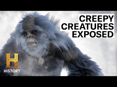 5 MYSTERIOUS CREATURES EXPOSED AS FAKE | The Proof Is Out There