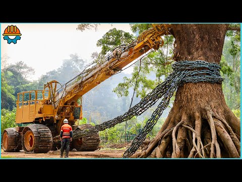 99 Amazing Fastest Big Tree Removal Bulldozers Working At Another Level