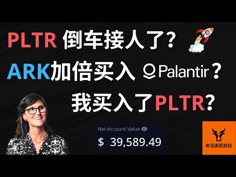 【3万投资挑战12】PLTR倒车接人了? ARK加倍买入Palantir? 我买入了PLTR?【美股分析】(字幕请点CC)