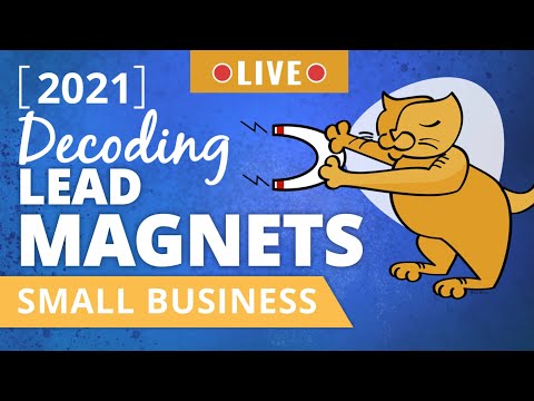  Lead Magnet Ideas  - Small Business Tips