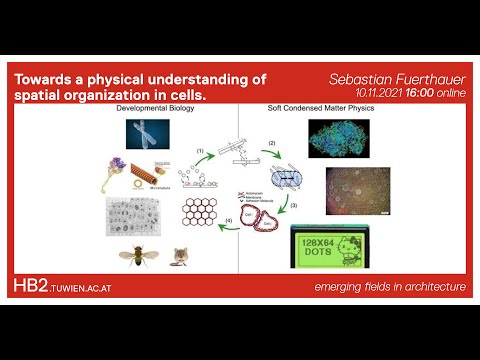 [Materials and Technologies] Spatial organization in cells | Sebastian Fuerthauer