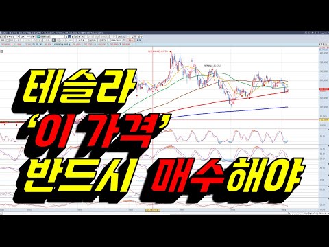 테슬라, SOXL, TQQQ, 엔비디아, TMF, 코인베이스,아이온큐, AMD, 팔란티어