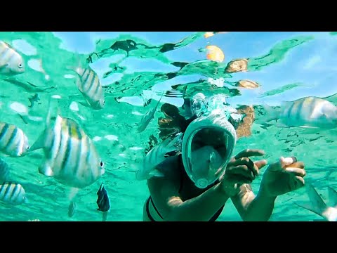 A Taste of Paradise - Ep 73 Sailing Luckyfish