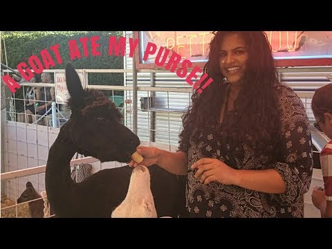 Alameda County Fair 2018 Vlog