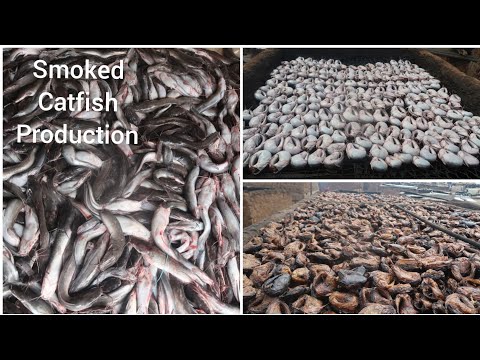 Amazing African Catfish Smoking In Nigeria  | Mass Production | Marketvlog / Catfish Business