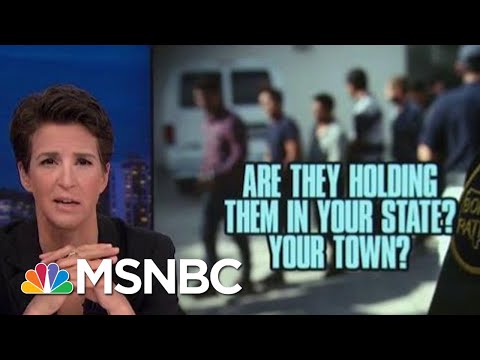 Americans Finding Ways To Work Against Donald Trump Immigration Policy | Rachel Maddow | MSNBC