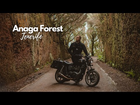 Anaga | The Magical North East of Tenerife