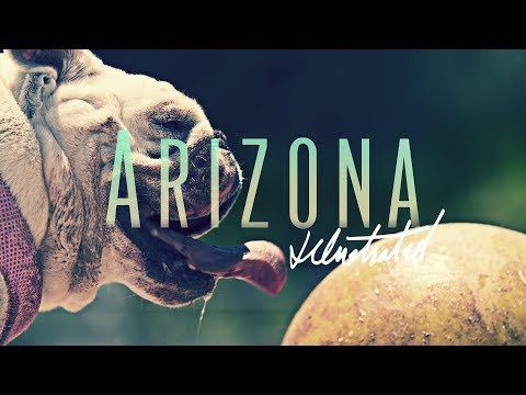 Arizona Illustrated 429