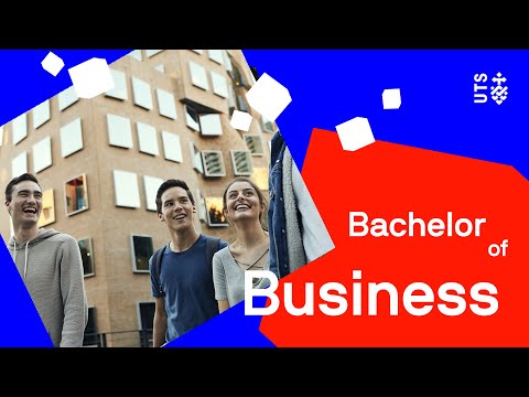 Bachelor of Business | UTS Business School