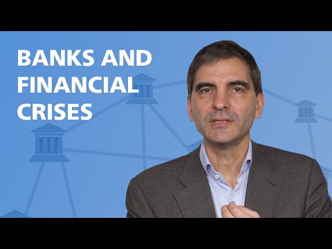 Banks and Financial Crises explained