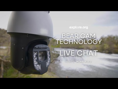 Bear Cam Technology | Brooks Live Chat