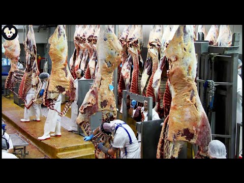 Beef Sausage Production Line - Processing Technology That Are At Another Level