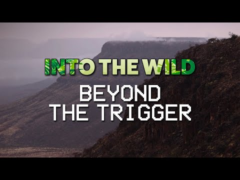 Beyond The Trigger