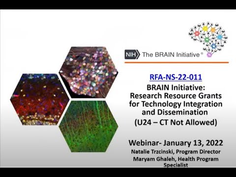 BRAIN Initiative Research Resource Grants for Technology Integration and Dissemination Webinar