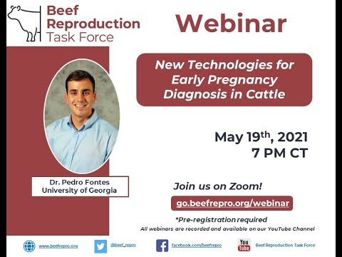 BRTF Monthly Webinar - Dr. Pedro Fontes - 05/19/21