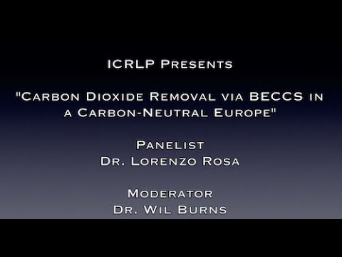 Carbon Dioxide Removal via BECCS in a Carbon-Neutral Europe