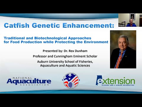 Catfish Genetics by Rex Dunham