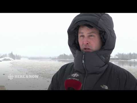 CBC NL Here & Now Tuesday January 16, 2018