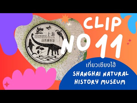 Clip 11 Shanghai Natural History Museum  & Lao Shanghai
