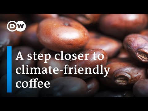 Coffee: The future of coffee growing and production | DW Documentary
