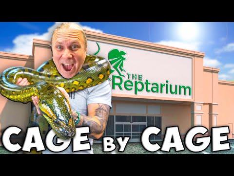 Complete Reptile Zoo Tour! Cage By Cage Update!
