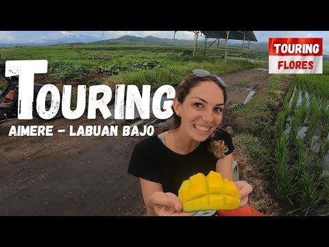 Completing our Journey in FLORES and NTT  [S2-E26]