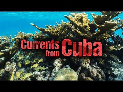 Currents from Cuba