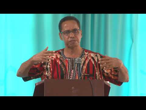 David Comissiong - Caribbean First Peace Conference