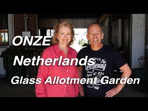 ENORMOUS ONZE Greenhouse Allotment Garden Tour | Almere, Netherlands