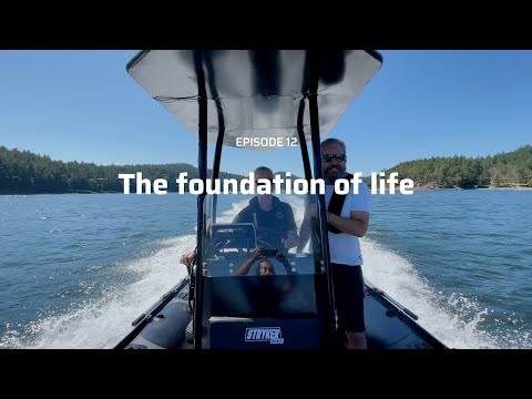 Ep. 12 - The Foundation of Life