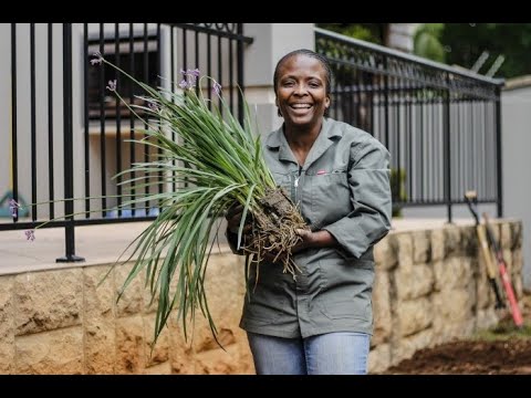 Exploring the Diversity and Impact of Agritourism in Southern Africa