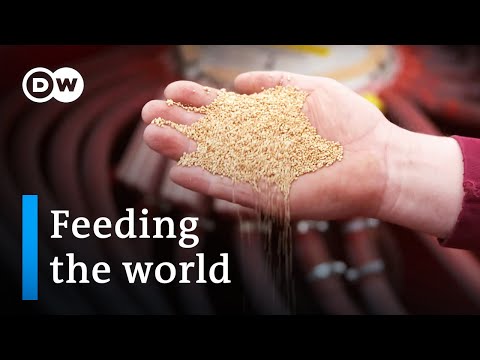 Food security - A growing dilemma | DW Documentary
