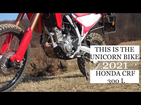 Honda CRF300L -why so popular ?