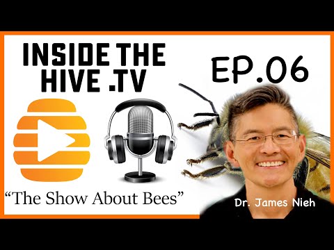 Honey bee's social learning, pesticides problems and lessons for society - Dr. James Nieh