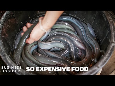 How 4 Of The World’s Most Expensive Seafoods Are Harvested | So Expensive Food