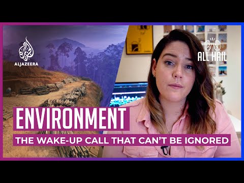 How COVID-19 & the environmental crisis are linked | All Hail The Lockdown