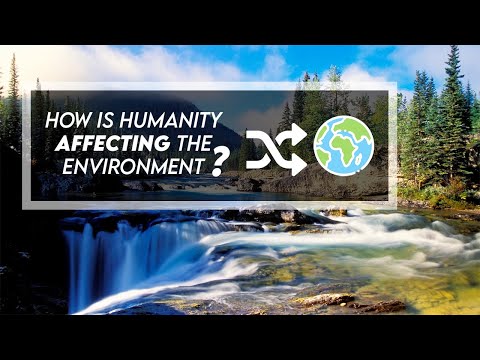 How is Humanity Affecting the Environment?