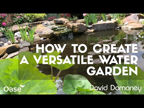 How to create a versatile water garden using OASE technology