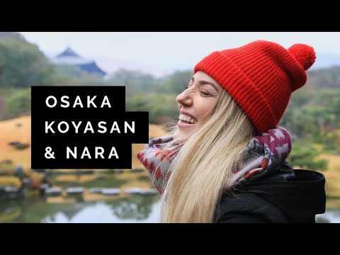 JAPAN Travel Guide: Osaka, Koyasan & Nara | Little Grey Box