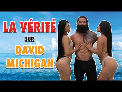 LA VÉRITÉ SUR DAVID MICHIGAN