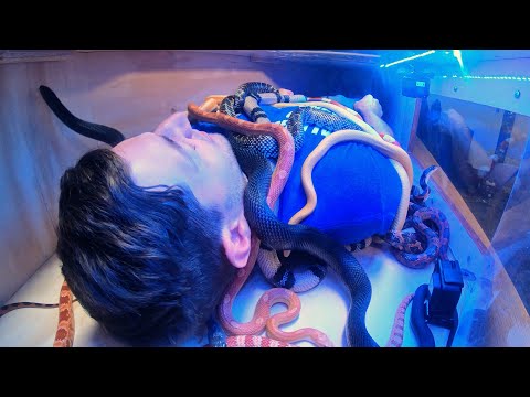 Laying in a Box of Snakes | Overtime 9 | Dude Perfect