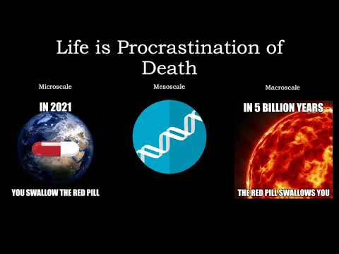 Life is Procrastination of Death