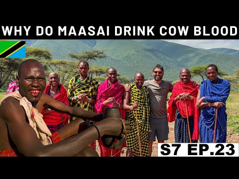 LIFE OF ANCIENT MAASAI TRIBE LIVING WITH THE WILD ANIMALS  S7 EP.23 | Pakistan to South Africa