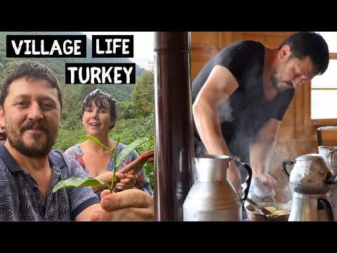 LIVING with a TURKISH FAMILY at a TEA HOUSE IN ARTVIN