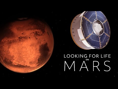 Looking for Life on Mars | NOVA | PBS